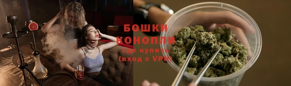 бошки Аркадак