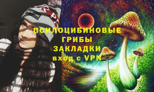бошки Аркадак