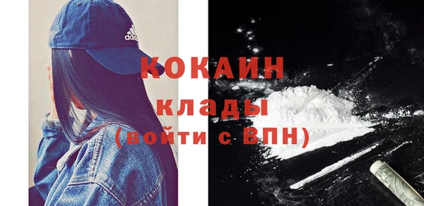 кокс Арсеньев