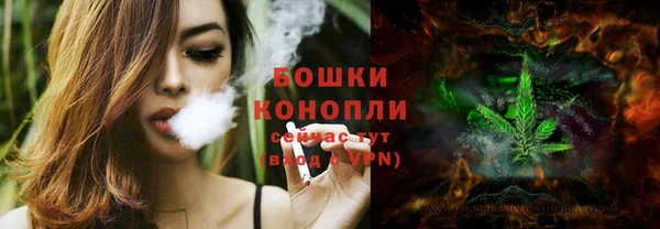 бошки Аркадак